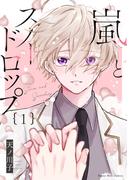 【全1-2セット】嵐とスノードロップ