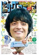 ビッグコミック 2025年22号（2025年11月10日発売）