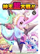 神玉超大戦！！12巻(BLIC)