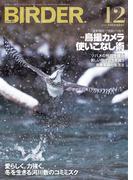BIRDER2025年12月号