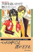 天使を追いかけて(KIRARA NOVELS)