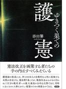 ゆきつく果ての護憲