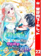 精霊魔法が使えない無能だと婚約破棄されたので、義妹の奴隷になるより追放を選びました 22(異世界マーガレット)