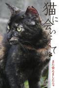 猫に会いたくて また会えましたニャ(猫パンチ)