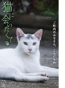 猫に会いたくて ご町内のみなさん、こんにちわ(猫パンチ)