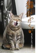 猫に会いたくて モフモフしたご近所さん(猫パンチ)