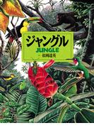 ジャングル