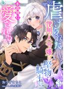 虐げられた使用人令嬢は堅物騎士に不器用に愛される（３）(アマゾナイトノベルズ)