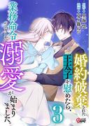 婚約破棄された王太子を慰めたら、業務命令のふりした溺愛が始まりました。 （3）