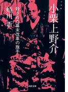 小栗上野介(河出文庫)