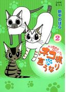 ネコ様の言うなり（２）