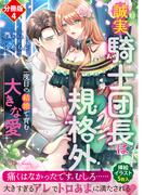 誠実騎士団長は規格外～二度目の結婚で育む大きな愛～【分冊版４】(トパーズノベルス)