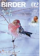 BIRDER2026年2月号