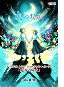 魂の双子～年の差25歳、LGBT、紆余曲折の果てに見つけた「絶対の味方」～(七彩社)