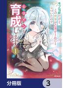 モブ司祭だけど、この世界が乙女ゲームだと気づいたのでヒロインを育成します【分冊版】　3(アライブ＋)