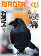 BIRDER2026年3月号