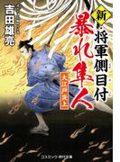 新・将軍側目付 暴れ隼人 大江戸炎上
