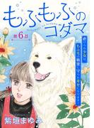 もふもふのコダマ～虐げられ少女は、もふ毛の精霊に守られ幸せになります！～＜単話版＞(６）(ミステリーサラ)