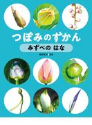 みずべの はな