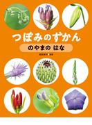 のやまの はな
