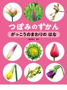 がっこうのまわりの はな