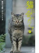 猫に会いたくて 贅沢な癒しのひととき(猫パンチ)