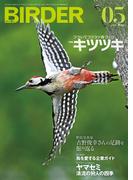 BIRDER2026年5月号