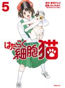 はたらく細胞　猫（５）