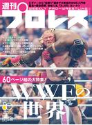 週刊プロレス 2026年 5／6号 No.2408