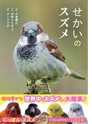 せかいのスズメ