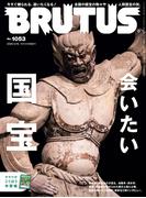 BRUTUS (ブルータス) 2026年 5月15日号 No.1053 [会いたい国宝](BRUTUS)
