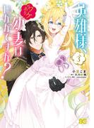 英雄様、ワケあり幼妻はいかがですか？ 3(B'sLOG COMICS)