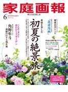 家庭画報 2026年6月号