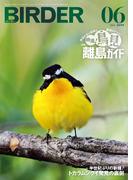 BIRDER2026年6月号