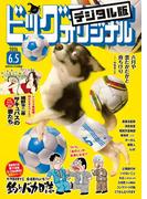 ビッグコミックオリジナル　2026年11号（2026年5月20日発売)