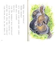 シートンどうぶつ記 幼年版 ３ はたおリスのぼうけんの通販/シートン