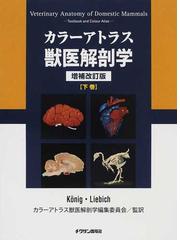 カラーアトラス獣医解剖学 増補改訂版 下巻の通販/Ｋöｎｉｇ