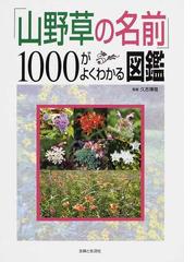 琉球の樹木 奄美 沖縄 八重山の亜熱帯植物図鑑の通販 大川 智史 林 将之 紙の本 Honto本の通販ストア