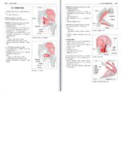 からだの構造と機能 ２ 下肢の詳しい機能解剖学の通販/ユッタ・ホッホ