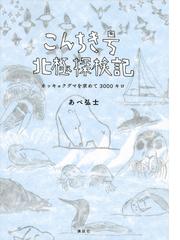 アイスランド紀行 氷と火の島からの通販/小林 理子 - 紙の本：honto本