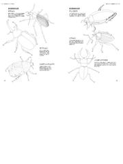 スケッチで実験 観察 生物の描き方とコツの通販 内山 裕之 紙の本 Honto本の通販ストア