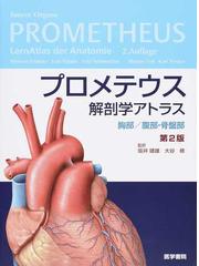 プロメテウス解剖学アトラス 第２版 胸部 腹部 骨盤部の通販 ｍｉｃｈａｅｌ ｓｃｈuｎｋｅ ｅｒｉｋ ｓｃｈｕｌｔｅ 紙の本 Honto本の通販ストア