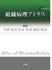 坂元 亨宇の書籍一覧 - honto