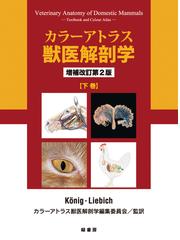 カラーアトラス獣医解剖学 増補改訂第２版 下巻の通販/Ｋöｎｉｇ ...