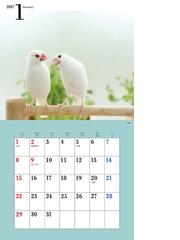 17年ミニカレンダー かわいい小鳥のカレンダーの通販 蜂巣文香 紙の本 Honto本の通販ストア