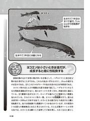 深海生物の なぜそうなった がわかる本 摩訶不思議な姿形と生態の謎を解き明かす の通販 北村 雄一 紙の本 Honto本の通販ストア