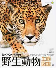 シートン動物記 ２ 狩られるものの生活の通販/アーネスト・Ｔ