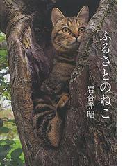 家出猫の探し方の通販/白沢 実 - 紙の本：honto本の通販ストア