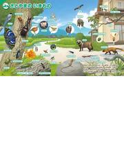 はじめてのずかん みぢかないきものの通販 瀧靖之 今泉忠明 紙の本 Honto本の通販ストア