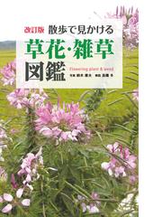 熱帯植物図鑑 ネオトロピカの通販 日本インドア グリーン協会 紙の本 Honto本の通販ストア